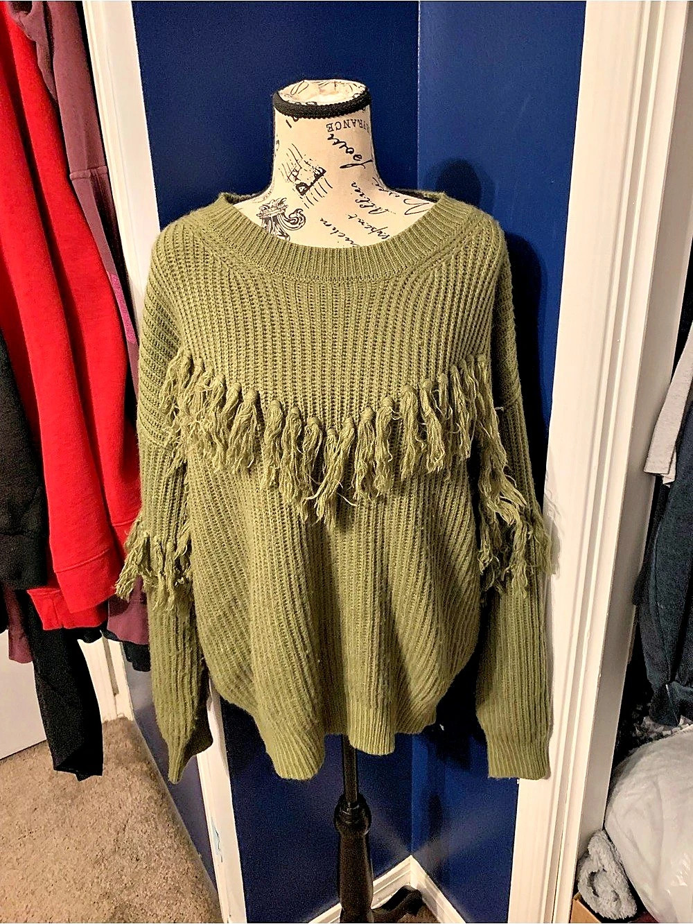 Pink Lily Fringe Knit Sweater in Green Large Like New